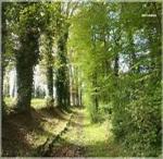 Santé par la nature, CEF Bleu